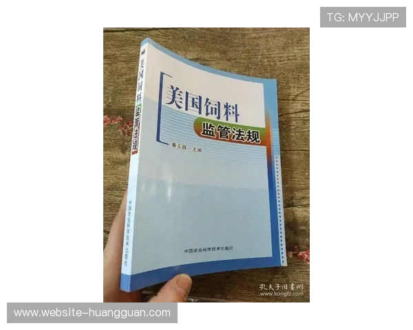 澳门皇冠域名的法律法规与注册注意事项全面解读