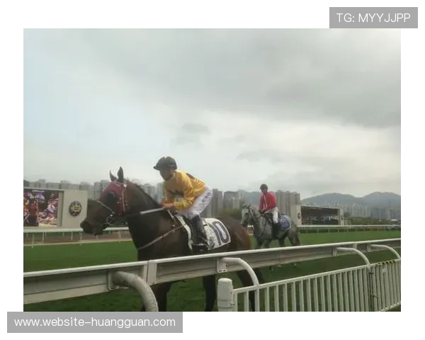 2026年最新赛马会投注站网站登录入口入口地址及登录流程详细介绍